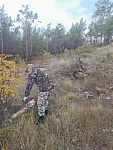IMG_20261015_115403_759.jpg