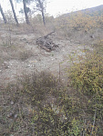 IMG_20261015_115403_747.jpg