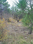 IMG_20261016_132130_518.jpg