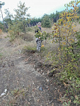 IMG_20261013_151827_612 (1).jpg