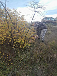 IMG_20261015_115403_763.jpg